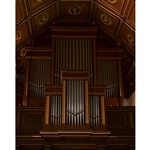 Grand Organ Printed Backdrop
