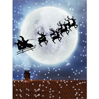 Moon and Santa Sleigh Printed Backdrop