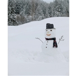 Joyful Snowman Printed Backdrop