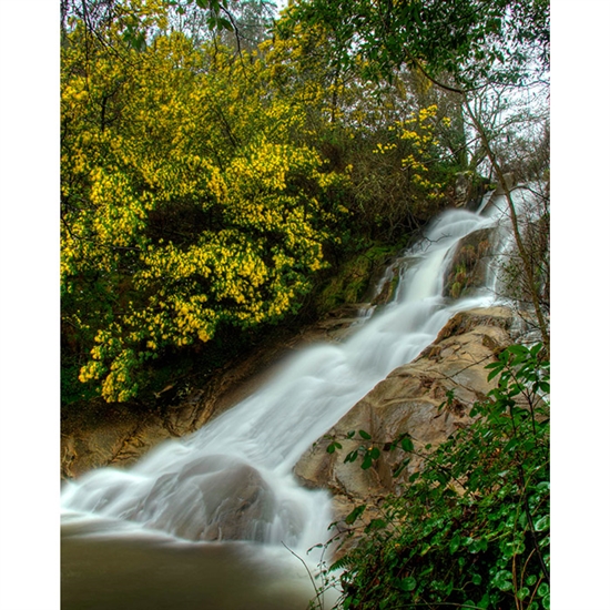 Cascada Waterfall Scenic Printed Backdrop