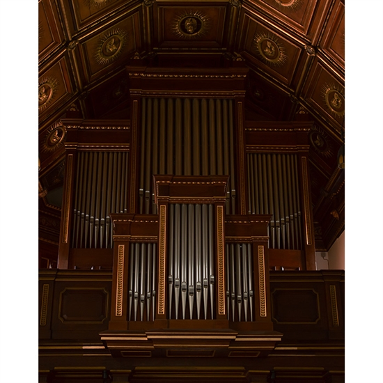 Grand Organ Printed Backdrop
