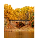 Bridge in Autumn Forest Printed Backdrop