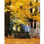 Autumn Backyard Printed Backdrop