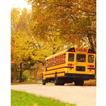 School Bus Printed Backdrop