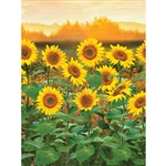 Sunflower Blossoms Printed Backdrop