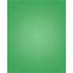 Holiday Green Nearly Solid Printed Backdrop