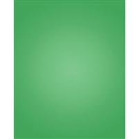 Holiday Green Nearly Solid Printed Backdrop