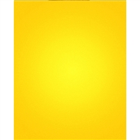 Lemon Yellow Nearly Solid Printed Backdrop