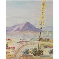 Painted Desert Scene Printed Backdrop