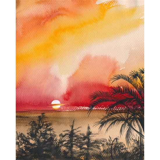Palm Beach Sunset Printed Backdrop