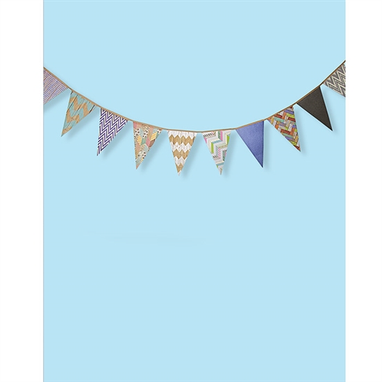 Baby Blue and Chevron Bunting Printed Backdrop