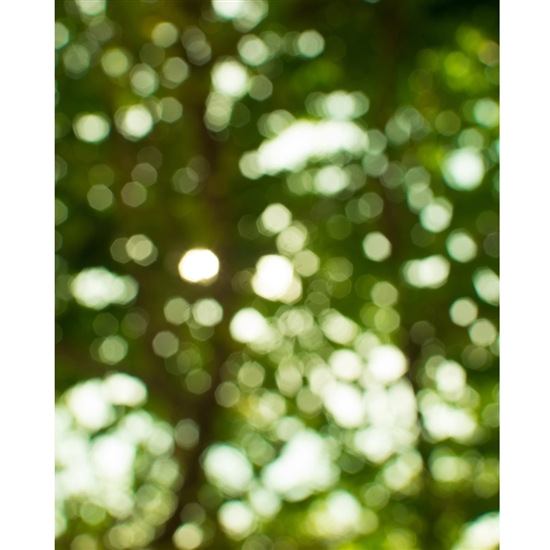 Forest Trees Bokeh Printed Backdrop