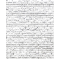 Worn White Brick Printed Backdrop