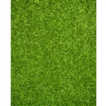 Fresh Cut Grass Printed Backdrop