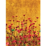 Red Flowers Printed Backdrop
