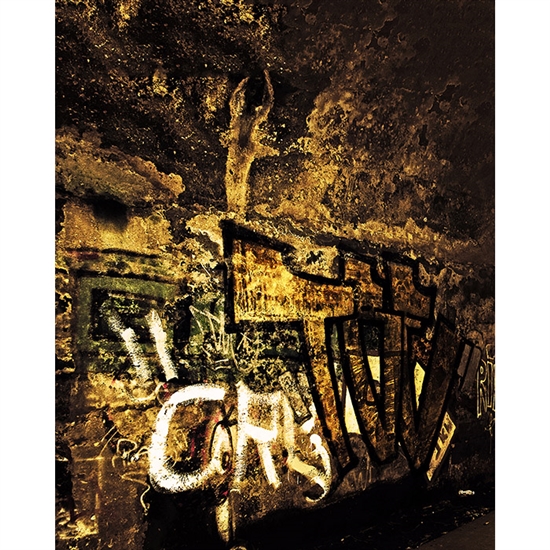 Tunnel Graffiti Printed Backdrop