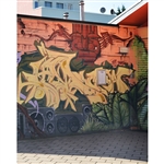 Abstract Graffiti Printed Backdrop