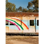 Vintage Rainbow Grafitti Printed Backdrop