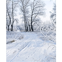 Winter Scene Printed Backdrop