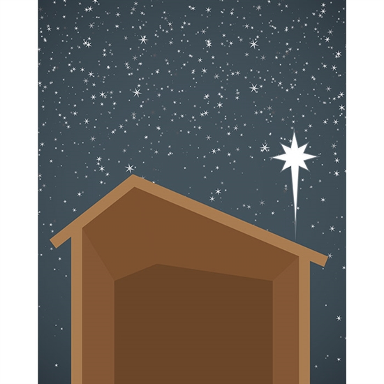 Nativity Manger Printed Backdrop
