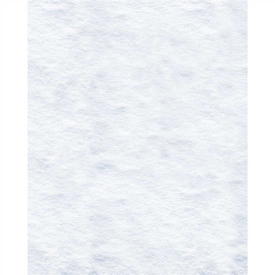 Fresh Snowfall Printed Backdrop