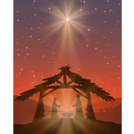 Nativity Scene Printed Backdrop