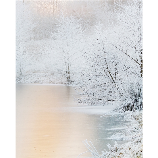 Frozen Lake Printed Backdrop
