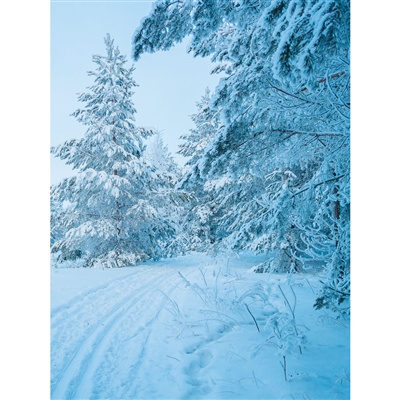 Snowy Tree Path Printed Backdrop