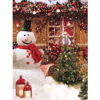 Holiday Snowman Printed Backdrop
