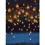 Tree Lanterns Printed Backdrop