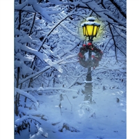 Holiday Lamp Post Printed Backdrop