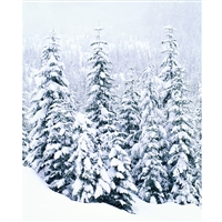 Snow-Covered Trees Printed Backdrop