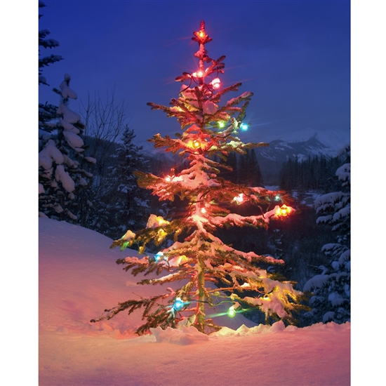 Lonely Christmas Tree Printed Backdrop