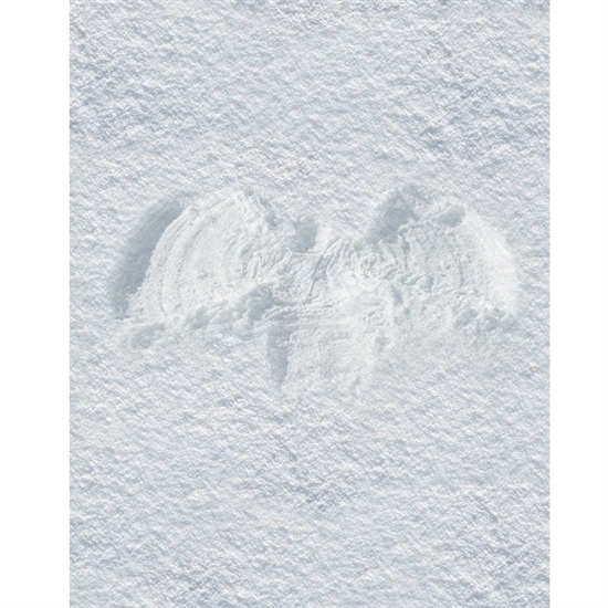 Snow Angel Printed Backdrop