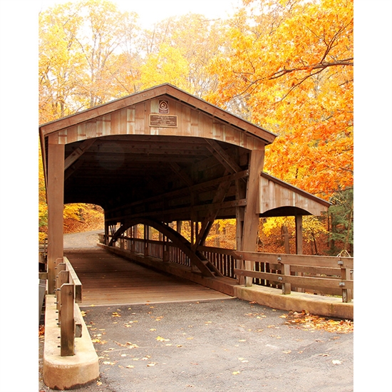 Autumn Bridge Printed Backdrop