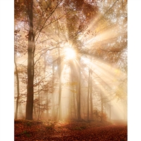 Autumn Daybreak Printed Backdrop