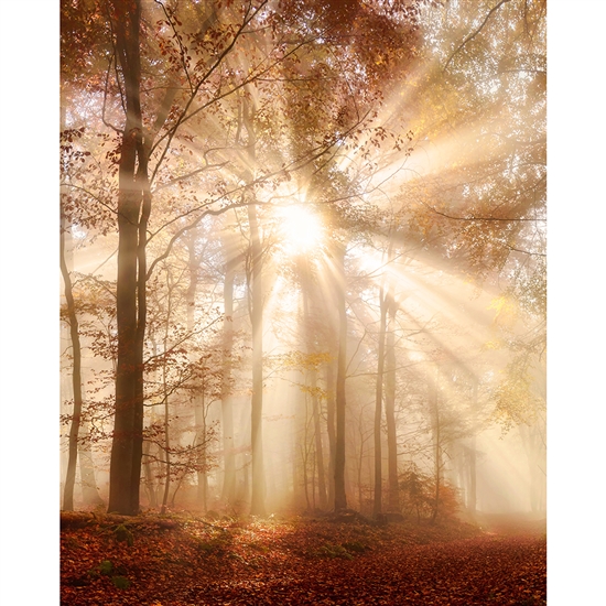 Autumn Daybreak Printed Backdrop