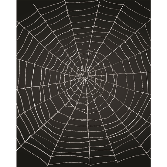 Spider Web Printed Backdrop