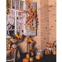 Halloween Porch Printed Backdrop