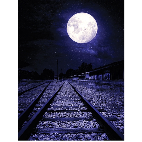 Moonlight Rail Road Printed Backdrop