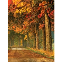 Fall Trail Printed Backdrop