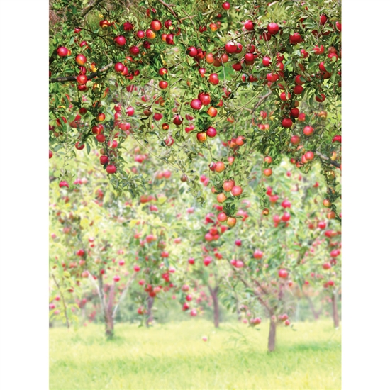 Apple Orchard Printed Backdrop