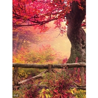 Autumn Sun Printed Backdrop