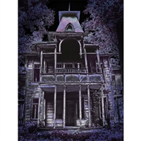 Ghost House Printed Backdrop