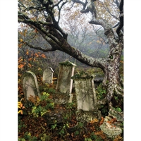 Graveyard Tree Printed Backdrop