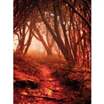 Haunted Woods Printed Backdrop