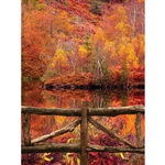 Autumn Lake Printed Backdrop
