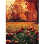 Pumpkin Yard Printed Backdrop