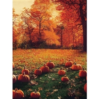 Pumpkin Yard Printed Backdrop