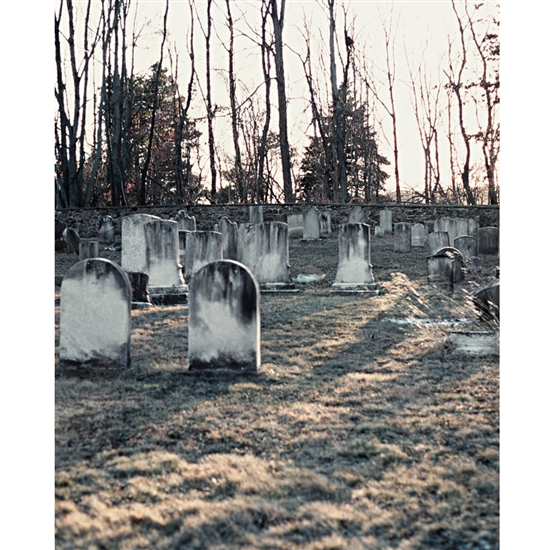 Eerie Gravestones Printed Backdrop